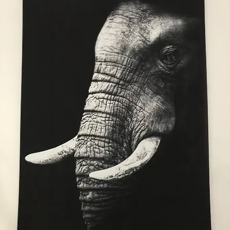 Alloappartmeuble Stpol * Saint-Pol-sur-Ternoise